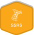 Aspose for SSRS (Reporting Services)