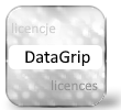 DataGrip