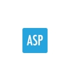 DevExpress ASP.NET renewal 1 rok