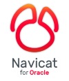 Navicat Oracle Non-Commercial