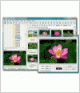 FastStone Image Viewer Lifetime License